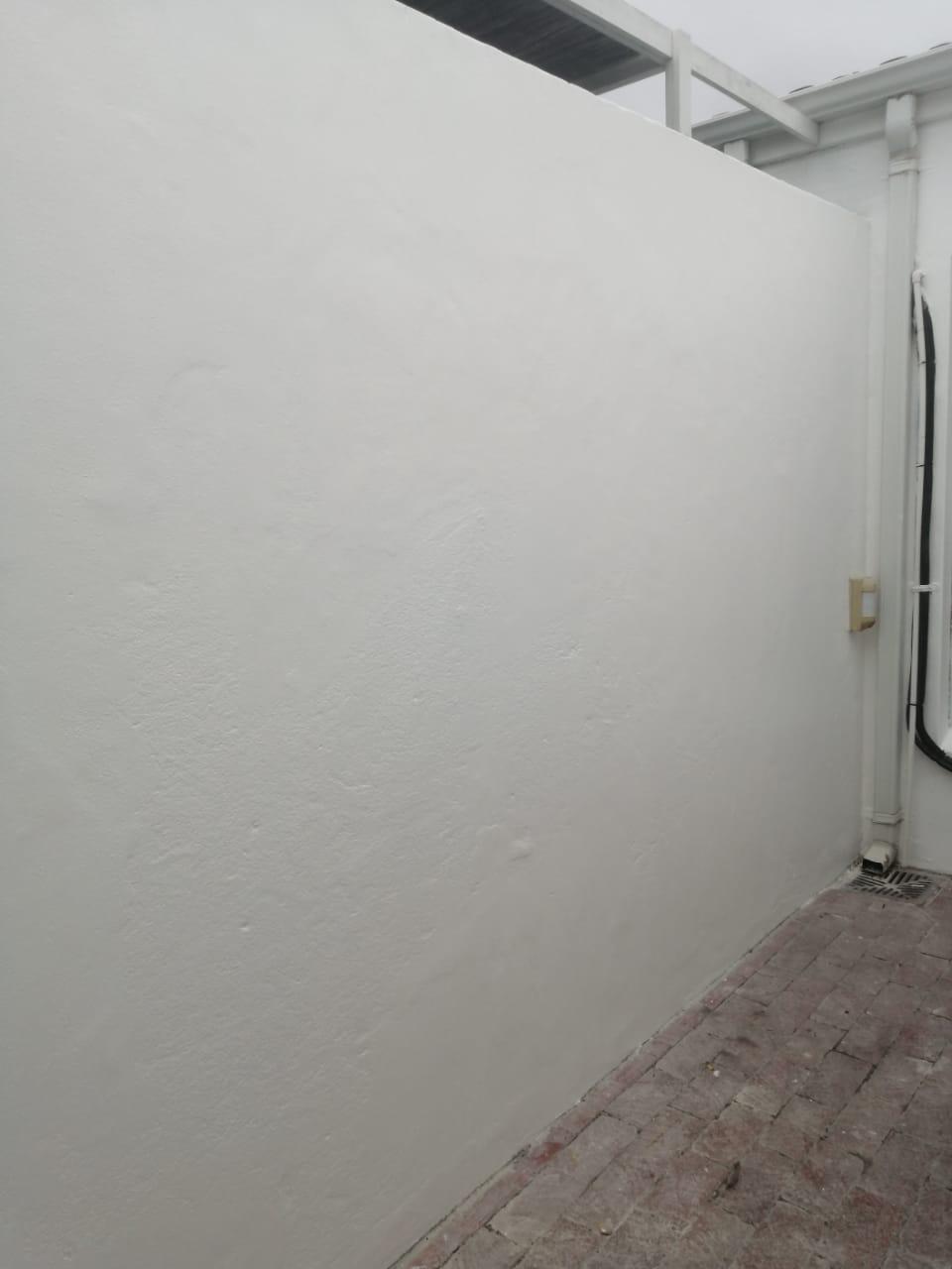 Interior Wall Painting